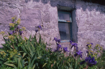 Cottage Inisheer