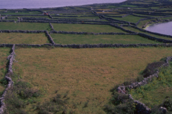 Murs Inisheer