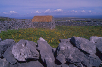 Cottage Inishmaan