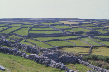 Murs Inisheer