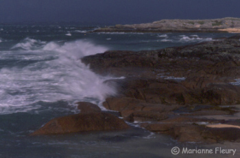 Tempête