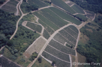 Les vignobles - Savoie